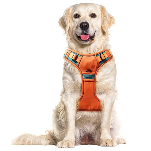 Premium Dog Harness